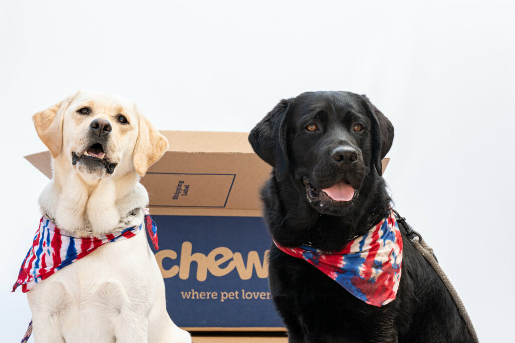 Chewy Review: An In-Depth Analysis of the Leading Pet Supply Retailer 3 Chewy