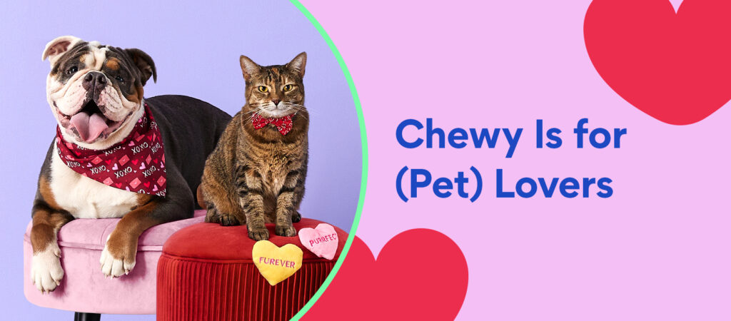 Chewy Review: An In-Depth Analysis of the Leading Pet Supply Retailer 5 Chewy